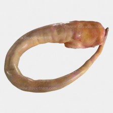 Tail Beef - Đuôi Bò Úc