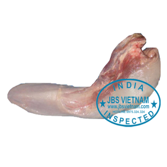 Tongue-Lưỡi trâu Ấn