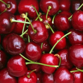 Cherry Úc